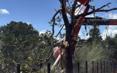 HELICÓPTERO DA DUPLA HENRIQUE E JULIANO FAZ POUSO DE EMERGÊNCIA NO TOCANTINS; PAI DOS CANTORES ESTAVA A BORDO